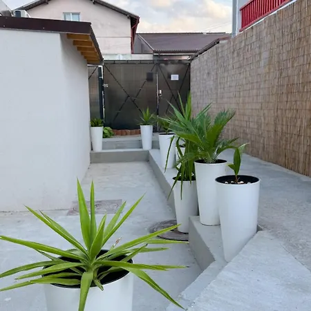 Complex Minerva 2* Costineşti